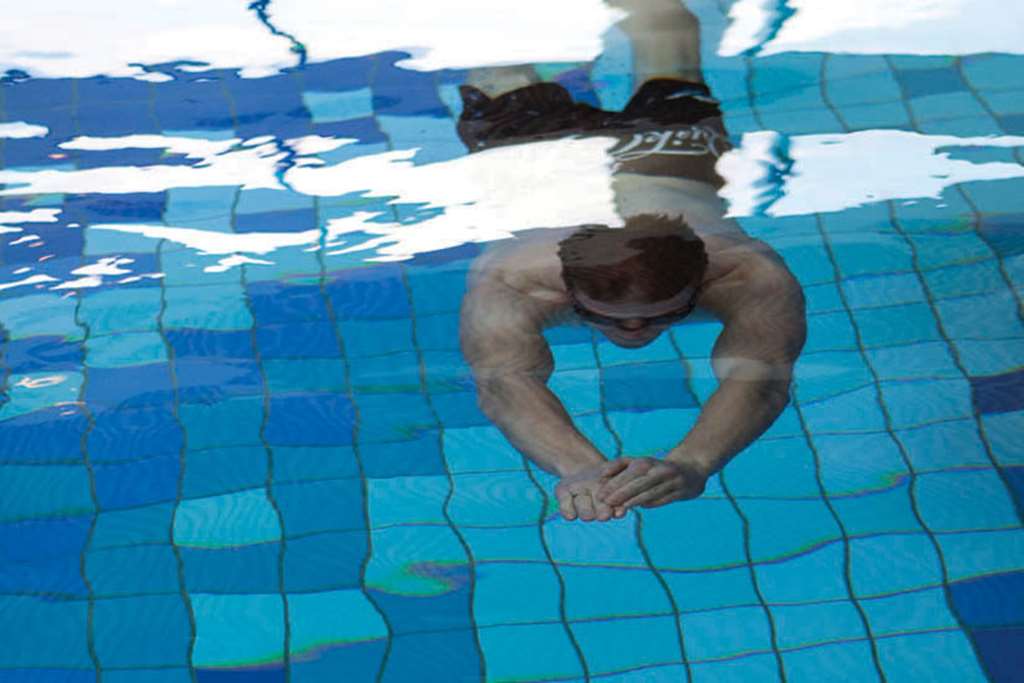 quality hotel the box