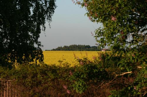 lilla huset pa slatten bandb