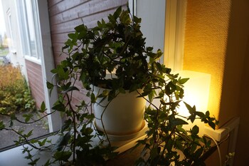 kristinebergs bed and breakfast mora