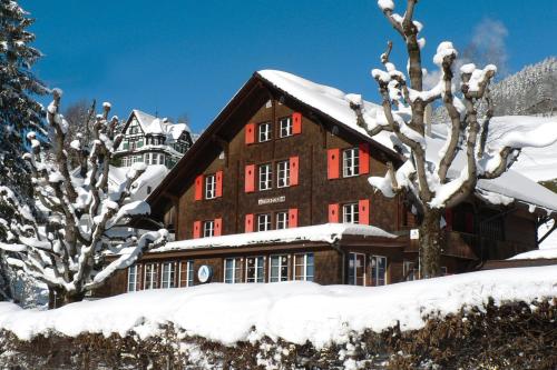youth hostel engelberg