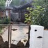 jeonju
