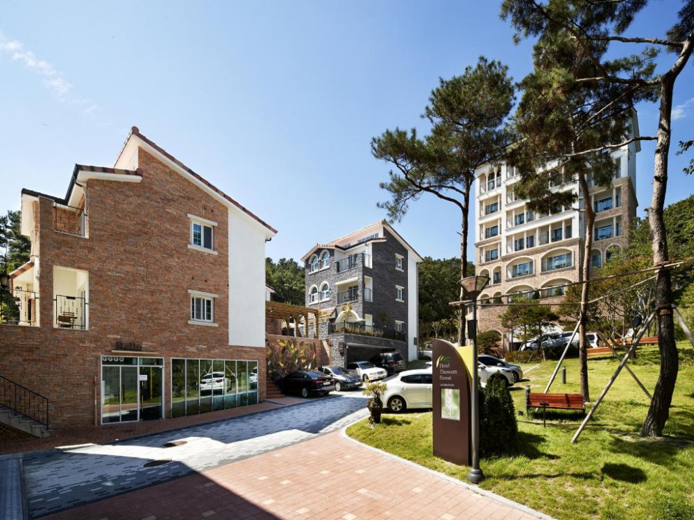 hotel thesoom forest