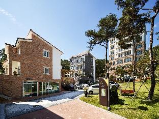 hotel thesoom forest