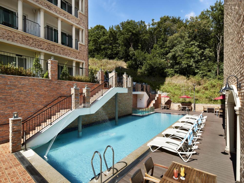 hotel thesoom forest