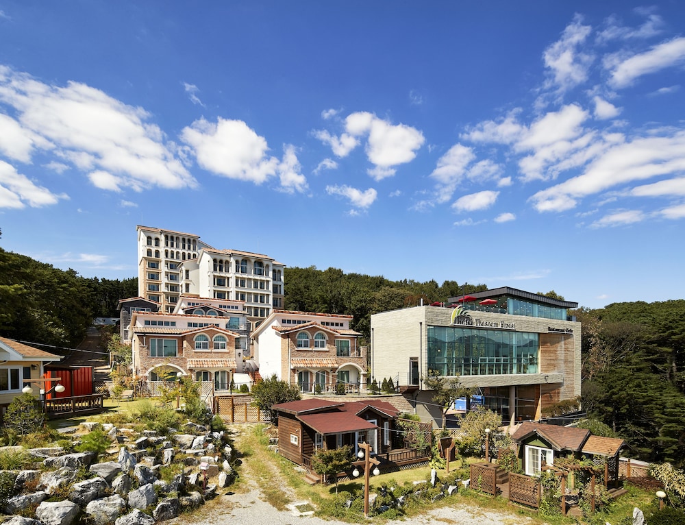 hotel thesoom forest