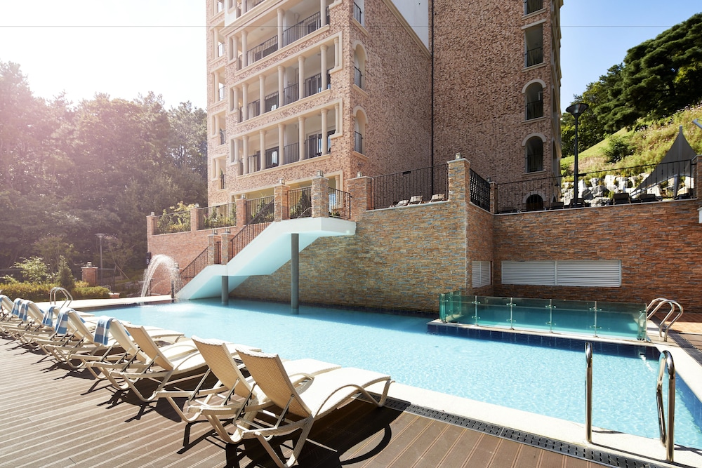 hotel thesoom forest