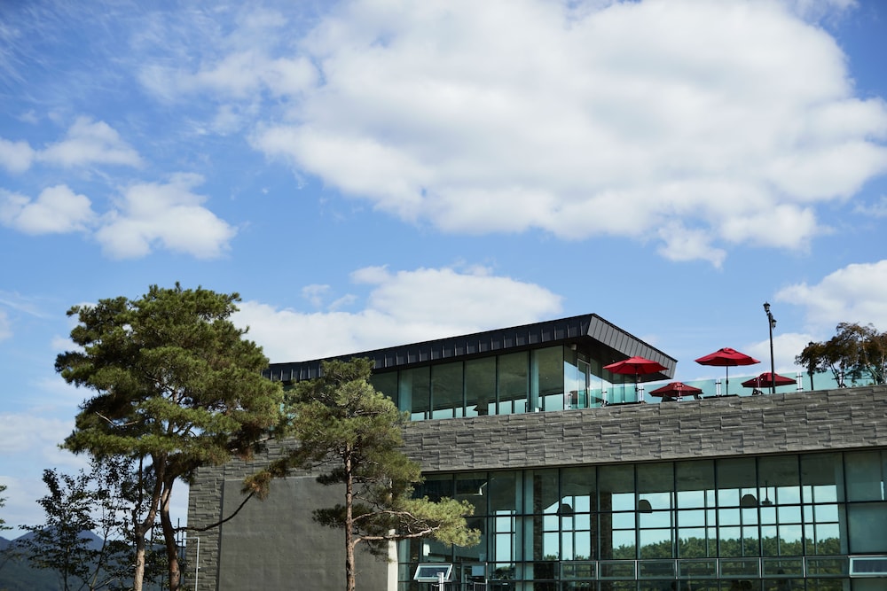 hotel thesoom forest