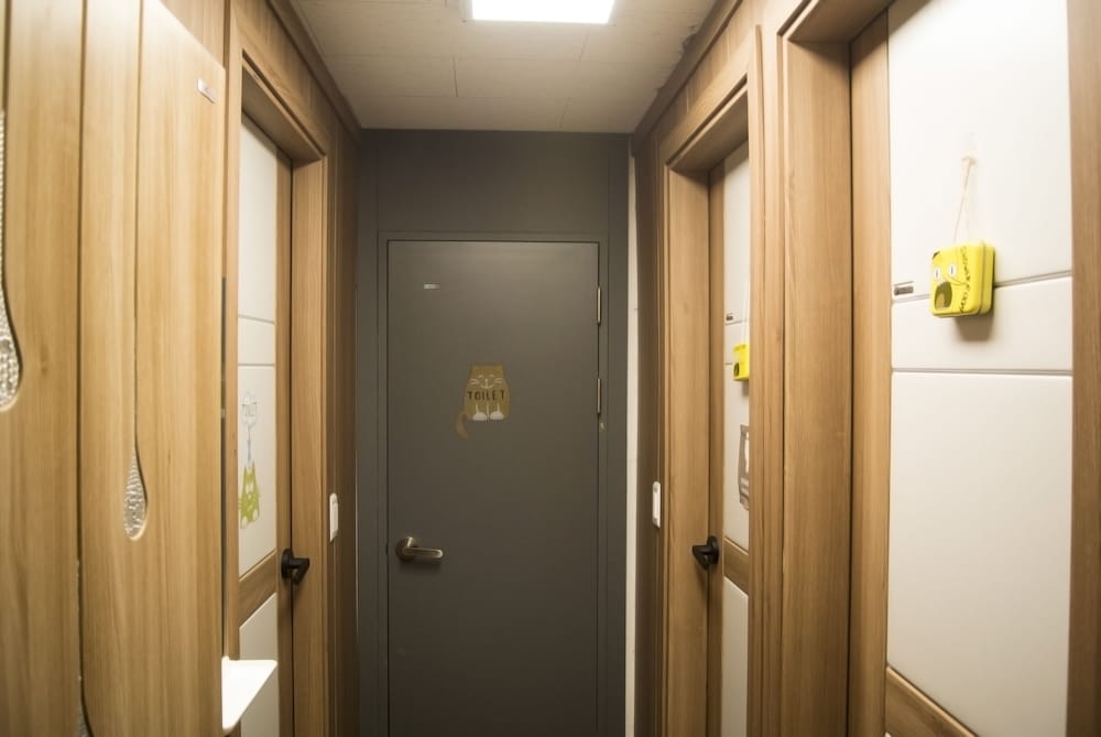 hause itaewon hostel