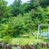 sunny junny pension