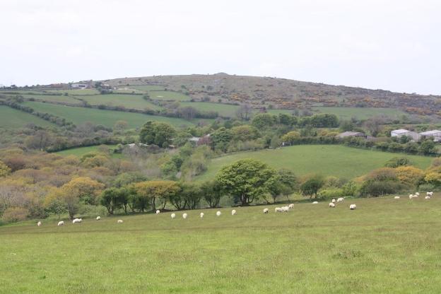bodmin