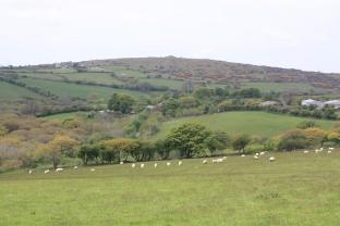 bodmin