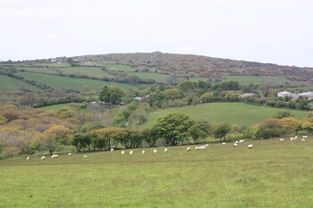 bodmin