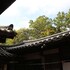 andong