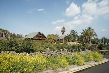 sunnyday jeju