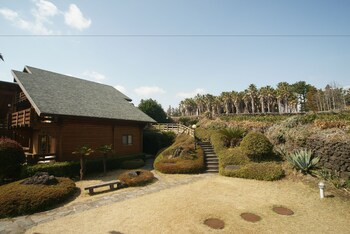 sunnyday jeju