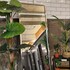 travel light hostel