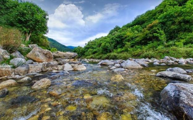 gapyeong green bee pension