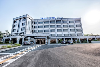 leslie hotel