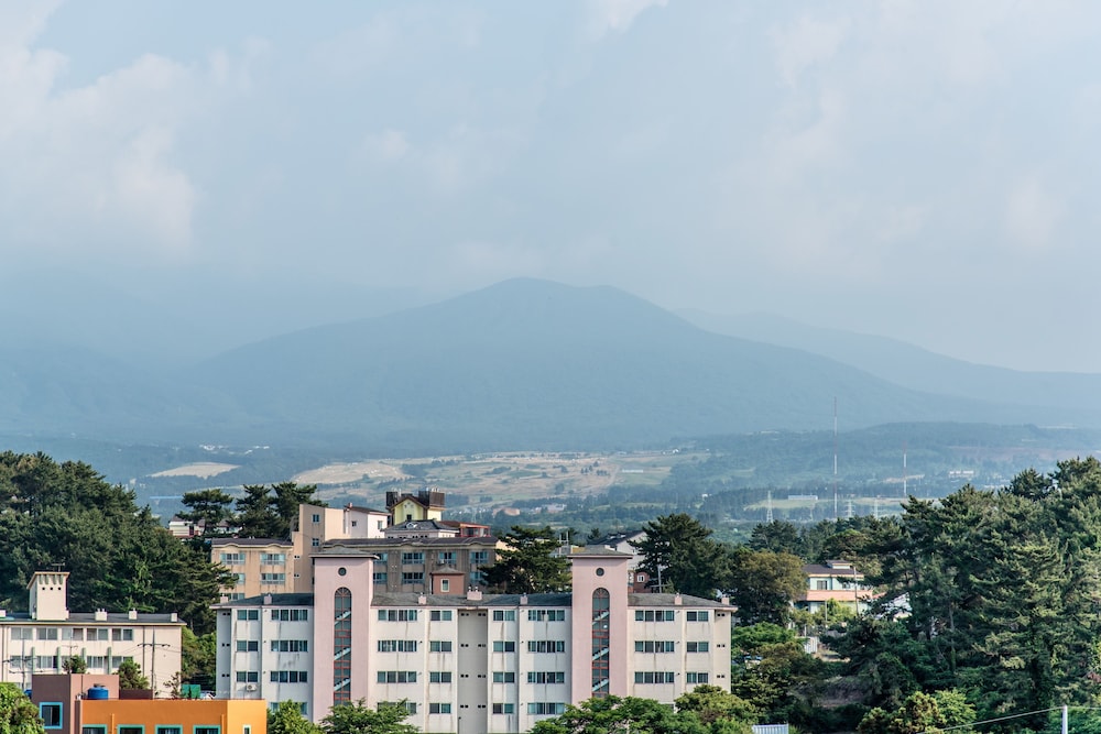 jeju city