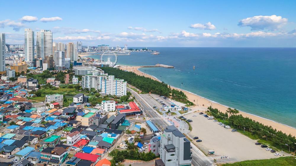 sokcho world pet friendly pension