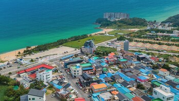 sokcho world pet friendly pension