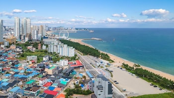 sokcho world pet friendly pension