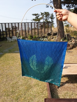 wind jeju cafe and pension