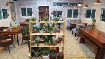 wind jeju cafe and pension