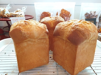 wind jeju cafe and pension