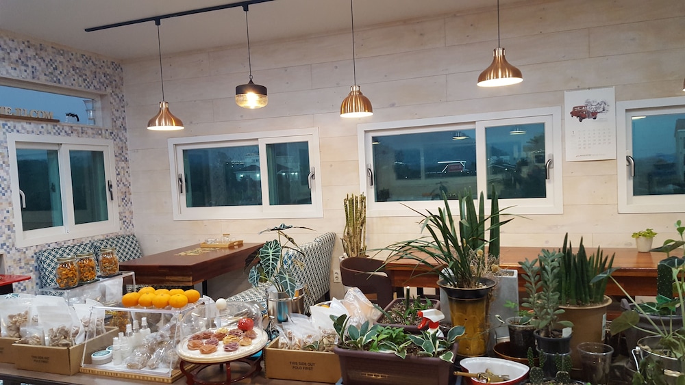 wind jeju cafe and pension