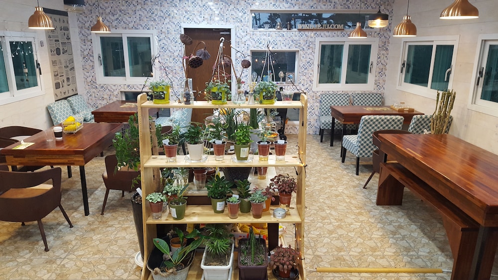wind jeju cafe and pension