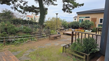 wind jeju cafe and pension