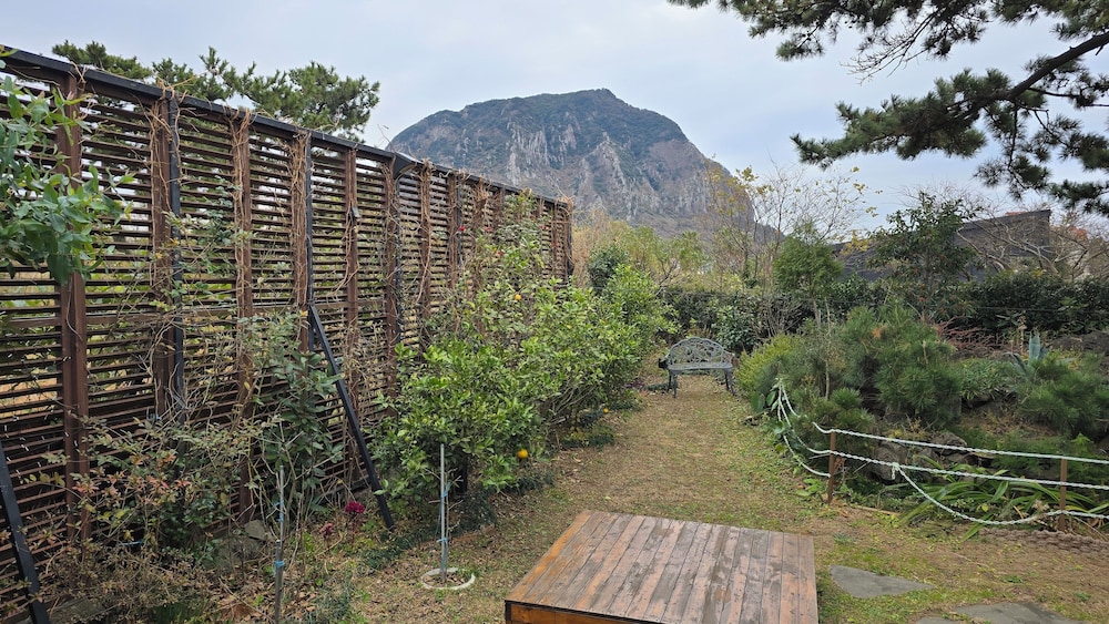 wind jeju cafe and pension