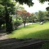 anmyeondo lake park pension