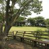 anmyeondo lake park pension