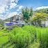 hongcheon