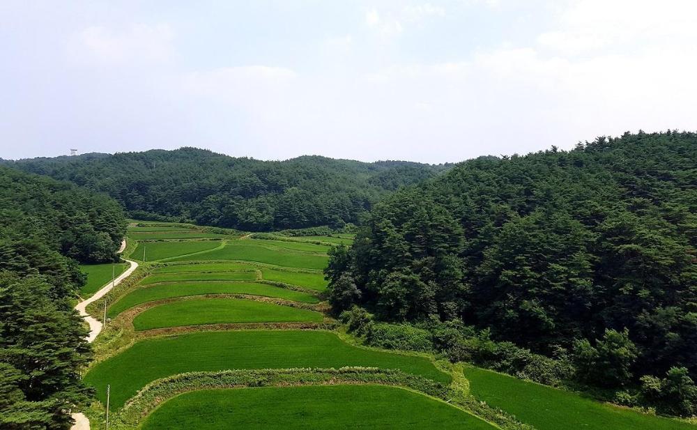 yangyang international airport hotel