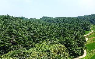 yangyang international airport hotel