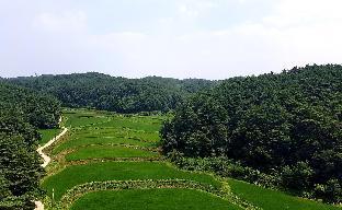 yangyang international airport hotel