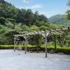 danyang sobaeksan tongnamu pension