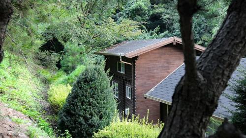 danyang sobaeksan tongnamu pension
