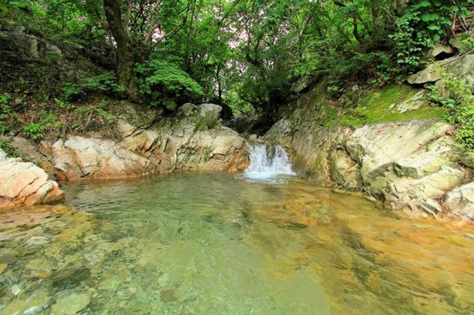 yangpyeong over the mountain pension