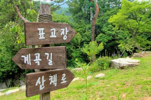 yangpyeong over the mountain pension