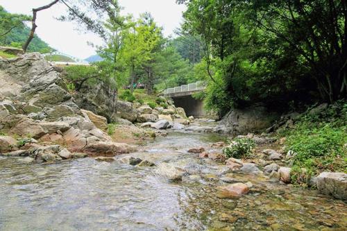 yangpyeong over the mountain pension