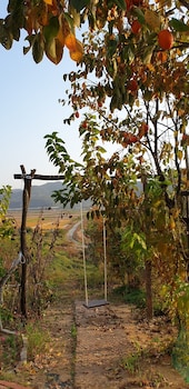andong