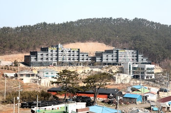 ritz castle resort