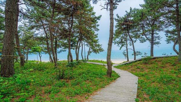 wando sol beach pension