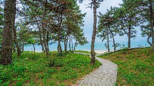 wando sol beach pension