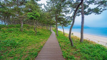 Wando Sol Beach Pension,Near Sinji Myeongsasimni Beach,3 star