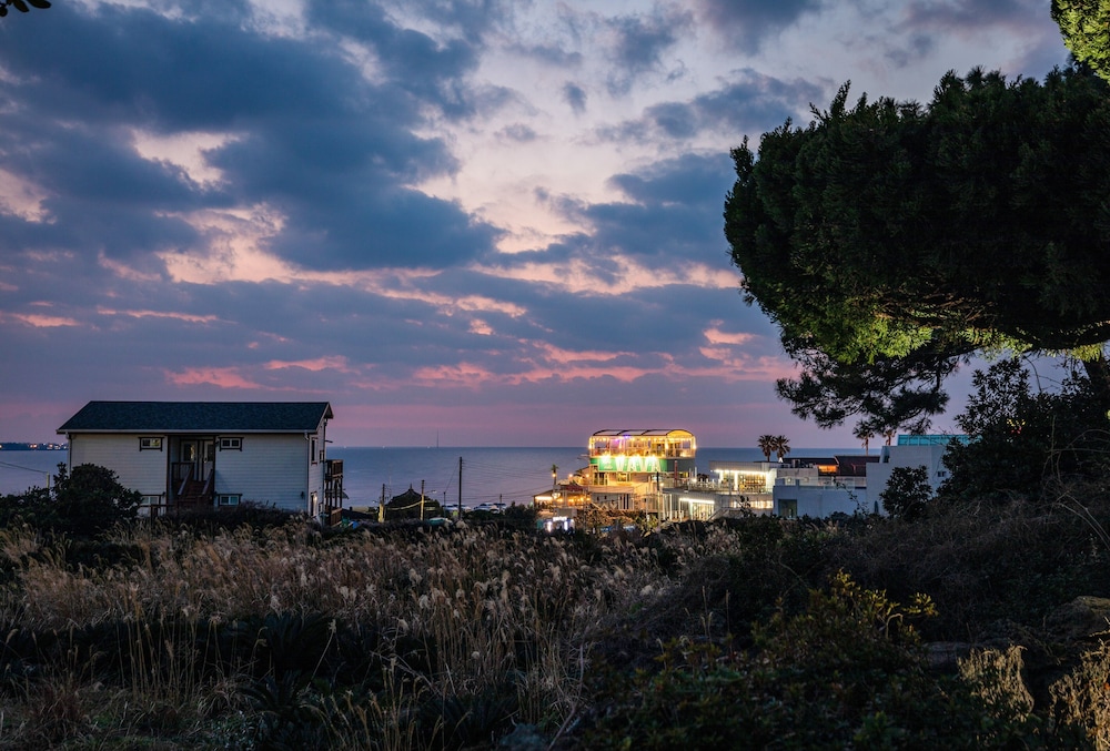 jeju city